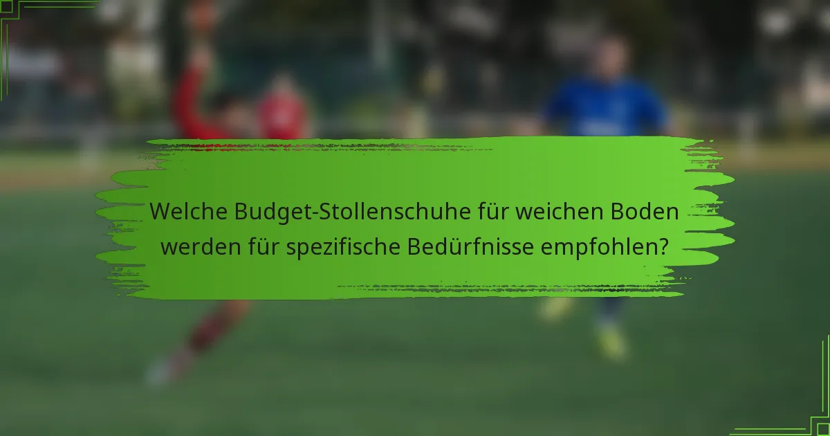 Welche Budget-Stollenschuhe für weichen Boden werden für spezifische Bedürfnisse empfohlen?