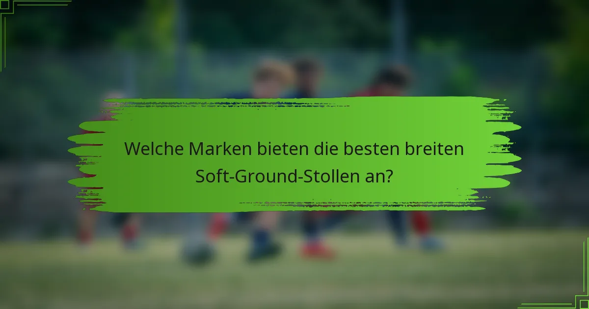 Welche Marken bieten die besten breiten Soft-Ground-Stollen an?