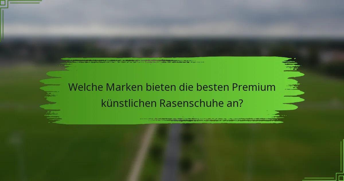 Welche Marken bieten die besten Premium künstlichen Rasenschuhe an?